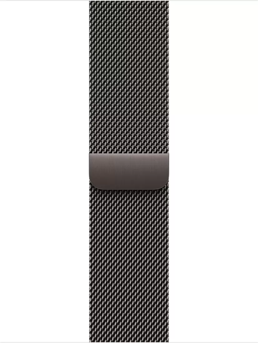 Умные часы Apple Watch Series 11 LTE 42 мм (титановый корпус, природный/сланец, миланская петля) — изображение 3