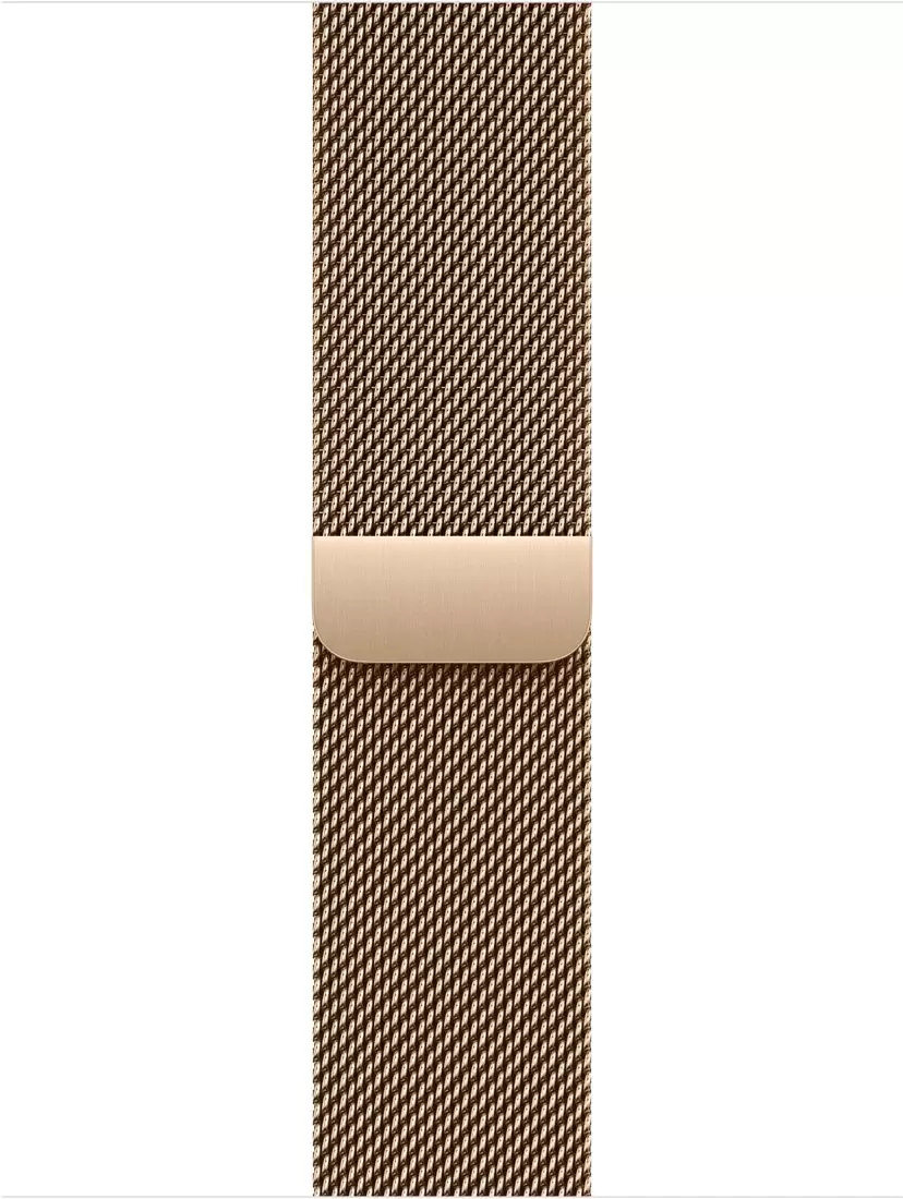 Умные часы Apple Watch Series 11 LTE 42 мм (титановый корпус, природный/золотистый, миланская петля) — изображение 3