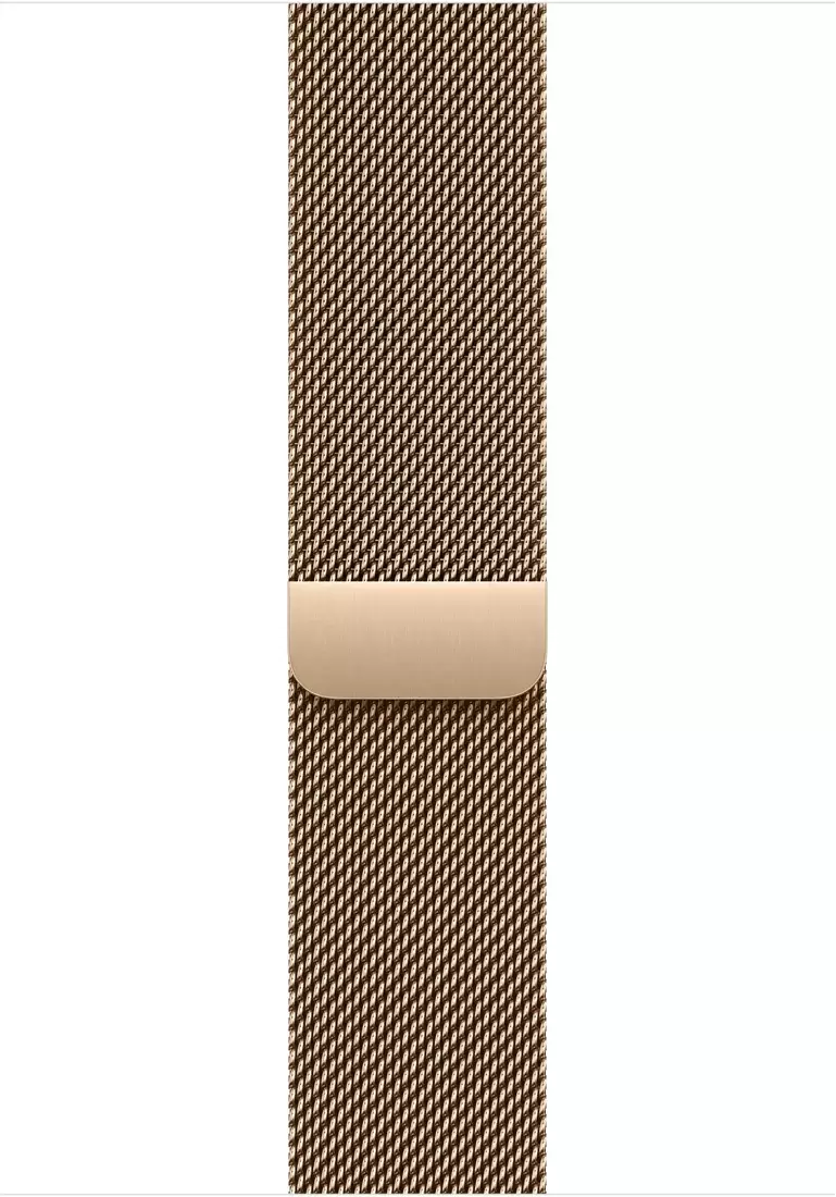 Умные часы Apple Watch Series 11 LTE 46 мм (титановый корпус, природный/золотистый, миланская петля) — изображение 3