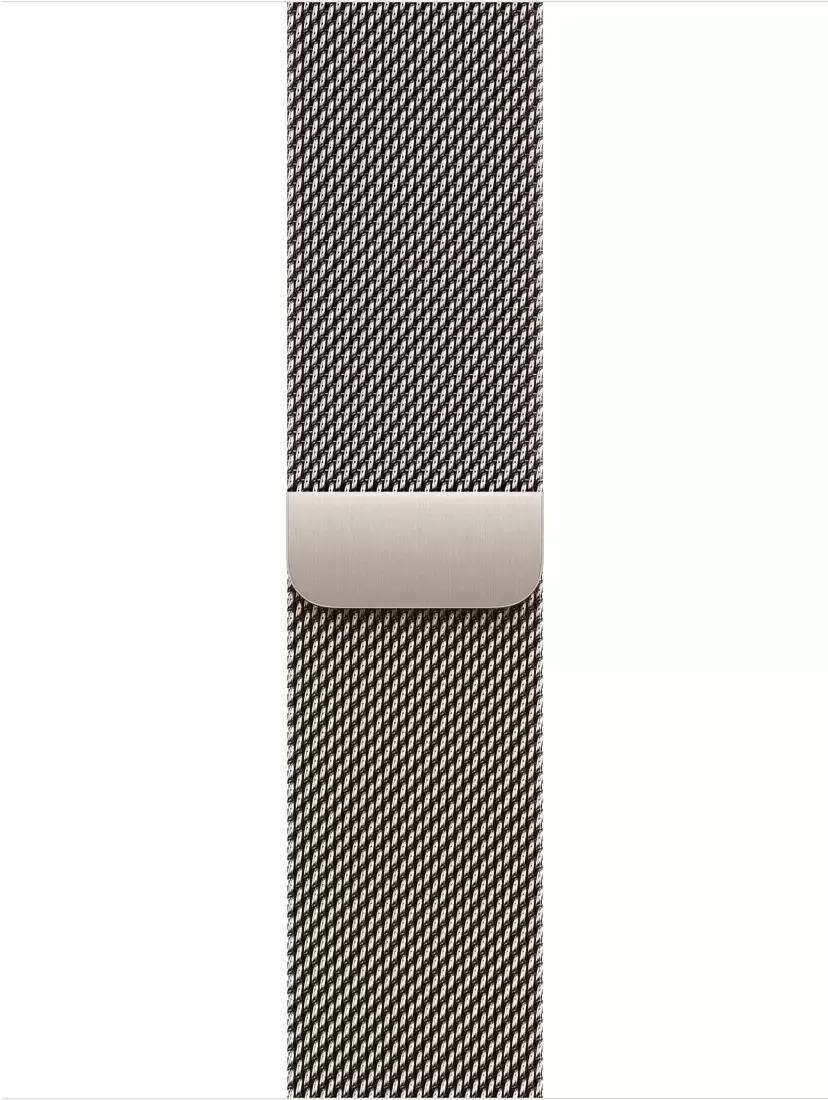 Умные часы Apple Watch Series 11 LTE 46 мм (титановый корпус, сланец/природный, миланская петля) — изображение 3