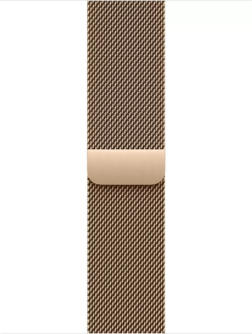 Умные часы Apple Watch Series 11 LTE 46 мм (титановый корпус, сланец/золотистый, миланская петля) — изображение 3
